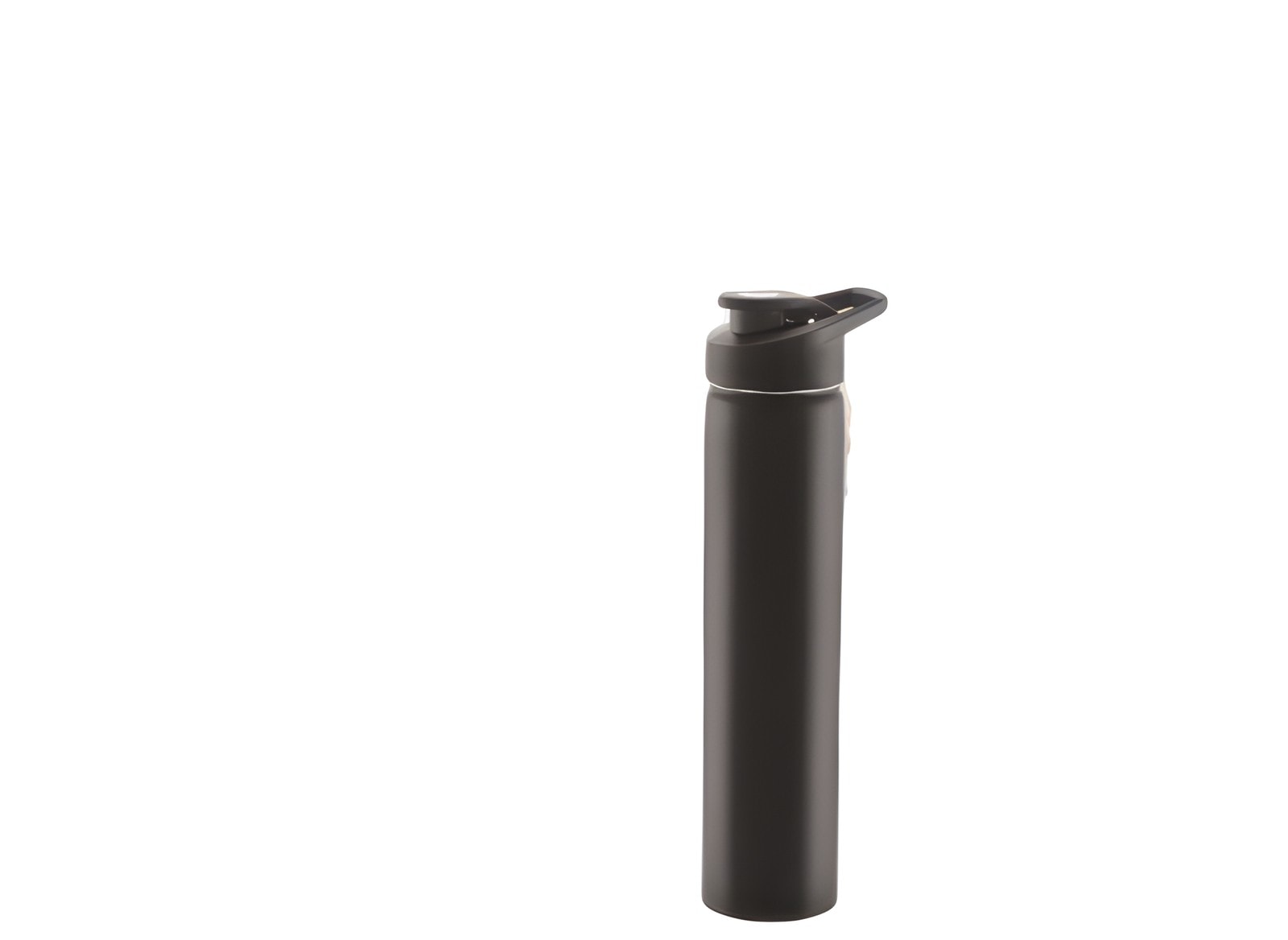 Flip Steel Water Bottle — corporate gift with your logo | ZYFTT