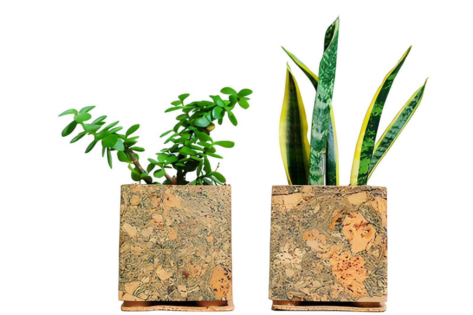 Olive Planter — corporate gift with your logo | ZYFTT