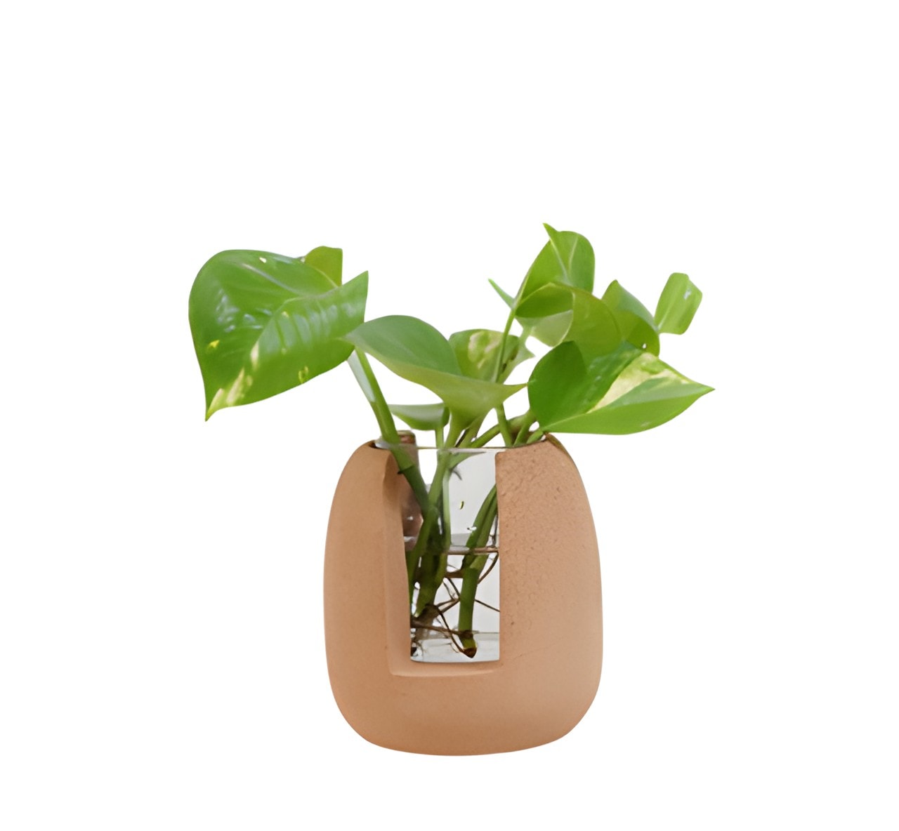 Oval Oasis Planter — corporate gift with your logo | ZYFTT