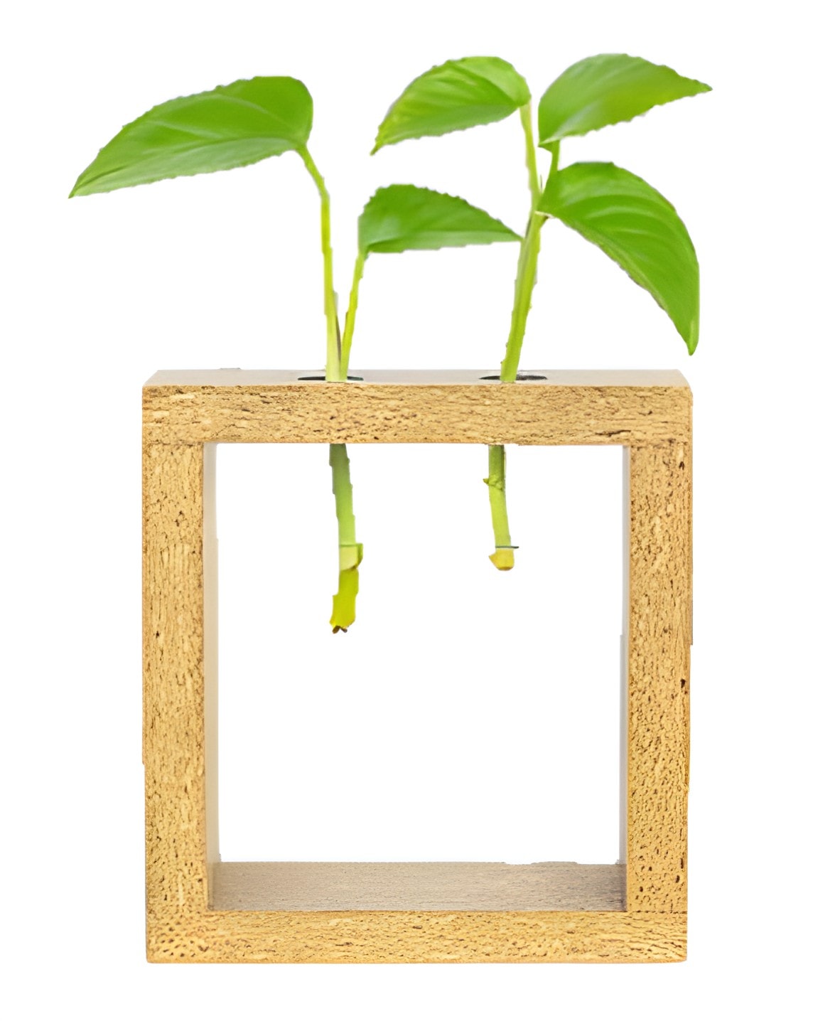 Wall Frame Planter — corporate gift with your logo | ZYFTT