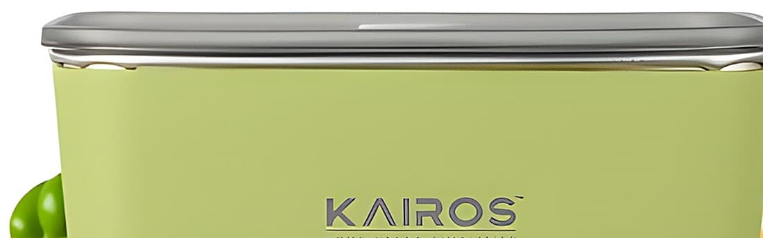 EverFresh Solo Premium Stainless Steel Container 500ml alternate