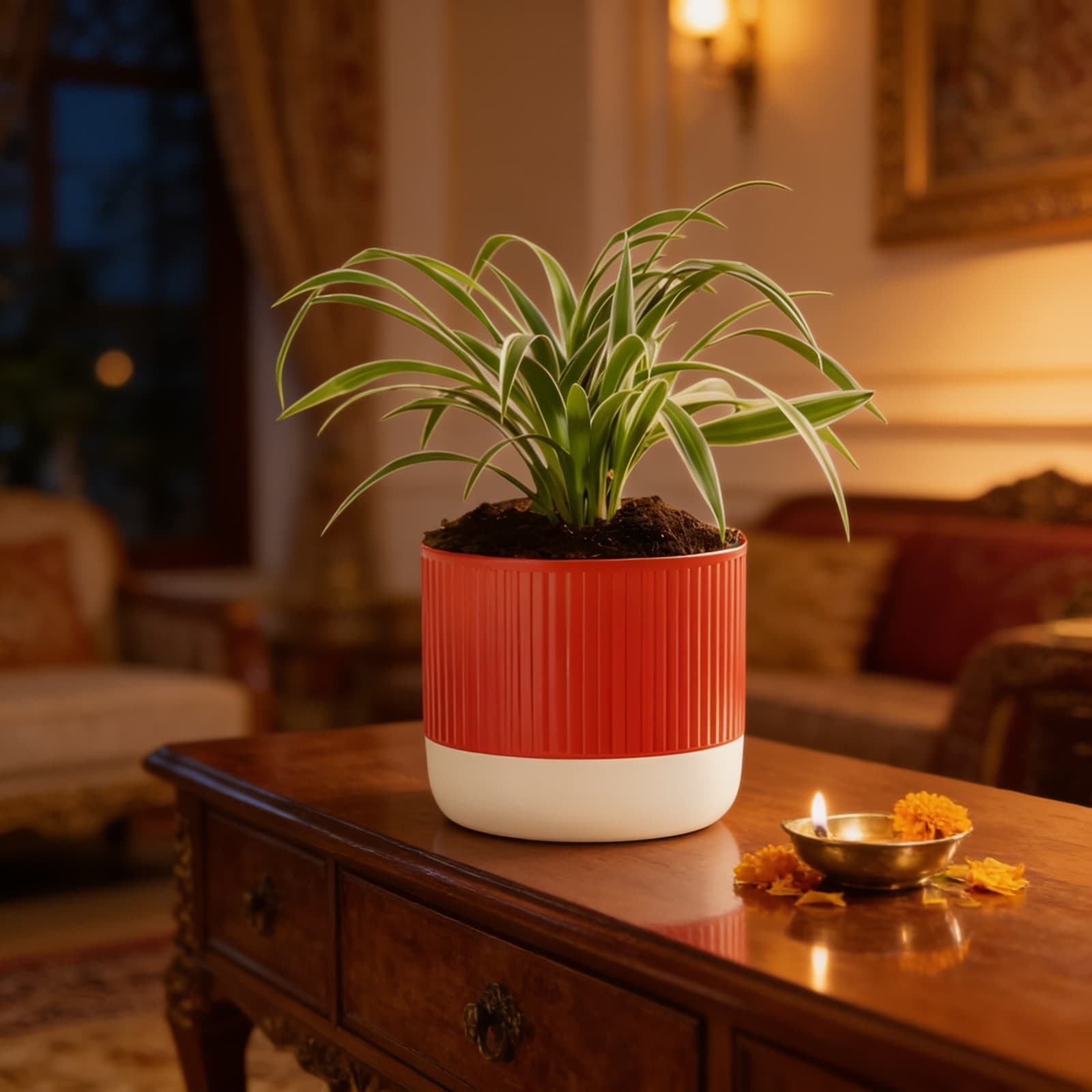Aglaonema Lipstick Plant With Medium Metal Self Watering Pot-Medium Size